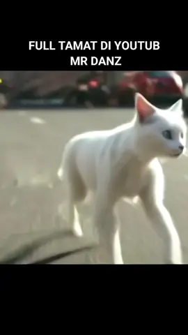 BUAT ANIMASI DI SORA AI #AI #cats #animation 