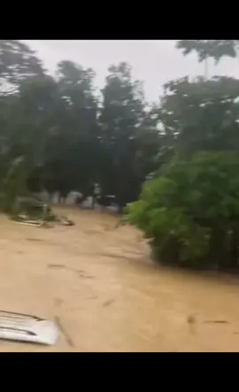 #Lũ lụt đổ về ở #Bình định quá nhanh, quá lớn , chưa bao giờ có như năm nay, thật thê thảm cảnh người già trẻ em ngồi trên nóc nhà chờ cứu hộ 😭