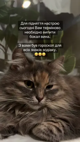 Порада дня😁 #водійка #жарти #гумор #жарти2025 #чоловікіжінка 