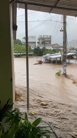 #lũlụt phú yên thất thủ hết rồi 