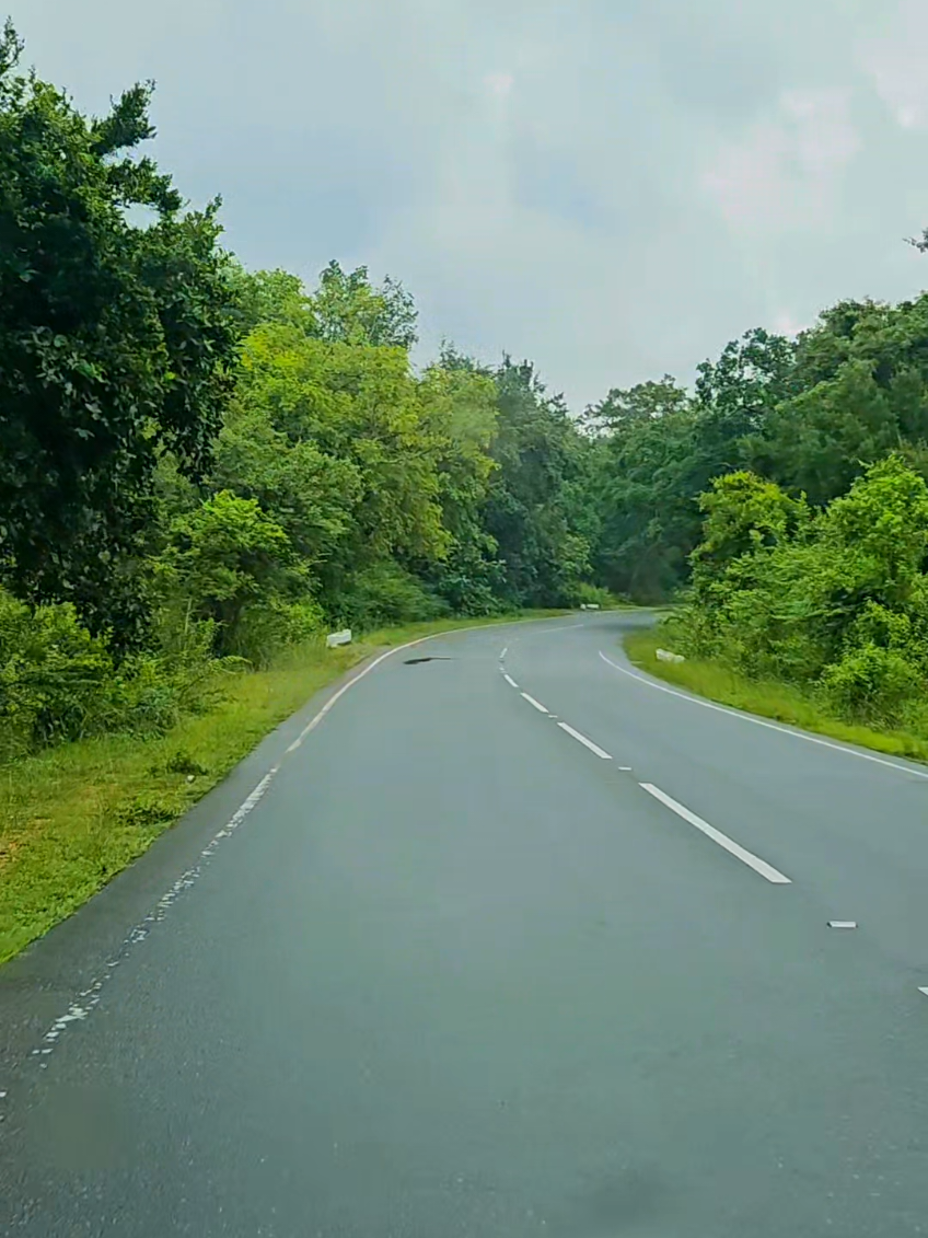 💚🌨Beauty of Ravel💚🌨 #1million #tending #natural #repost #onthisday  @🧔karuna🧔 