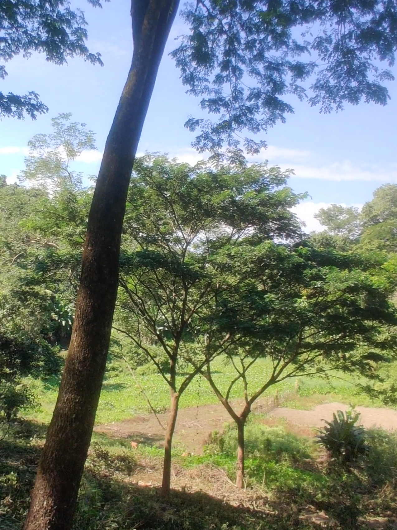 আমি আবার মেয়েদের দিকে তাকাই টাকাই নাহ.।। #outfit #foryourepage #fyppppppppppppppppppppppp #viralvideo #tiktok 