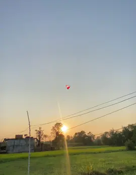 #fyp #foryou #viralvideo #support #naturelover 