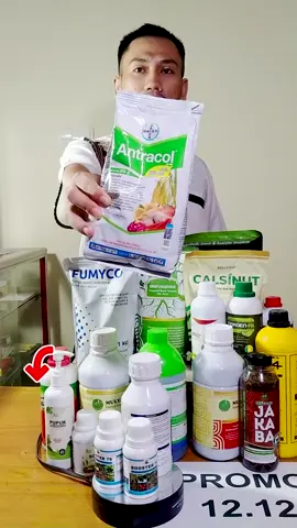 Antracol adalah fungisida yang memiliki kandungan zinc , berfungsi ganda untuk melindungi tanaman dari penyakit jamur, dan memacu proses perkembangan bunga dan buah. cara kerja fungisida dibagi kontak atau non sistemik. Fungisida ini sudah sangat popular, terutama buat para petani hortikultura. Manfaat lain dari fungisida ini bisa menghambat, menghilangkan jamur pada area akar, tunas dan daun. cara penggunaanya, bisa di gunakan dengan system kocor ataupun spray pada tanaman. Agar hasil spray ini berfungsi dengan baik, tambahkan bahan perekat. agar fungisida ini tidak hilang begitu saja saat semprotkan. Penggunaan antracol ini sebaiknya dipagi hari atau disore hari. Antracol ini bisa digunakan untuk semua jenis tanaman sayur, buah, polong, biji dan tanaman hias lainya. Sesuaikan dosis pemakaian sesuai dengan yang ada dikemasan. #antracol #fungisida #fungisidakontak #antracolbayer #fungisidaorganik      