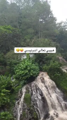 #ملاك #الطائف #ملاك_الطائف #اندونيسيا #بونشاك 