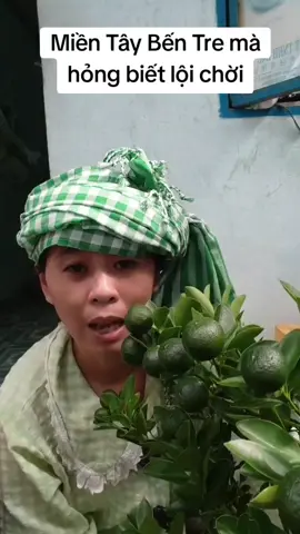 Miền Tây Bến Tre mà hỏng biết lội chời #hannguyen 