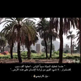 #اكسبلور #مشرف #foryou #fypage #fyp 