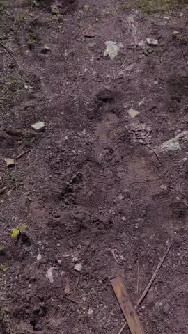 Knua❤️🍃VQQ Uwatulari”Fatin turistico,Goa Sagrada🤍🙏🏻(DIDIMERA) with a very beautiful beach🌊🏖️#vqq #uwatulari #tiktoktimorleste🇹🇱🐊foryoupage #fypシ゚ 