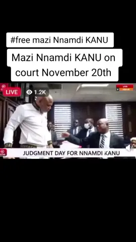 #freemazinnamdikanu #adoptme #govaril_tikttok_foryou_tiktok #everyonehighlightsfollowers
