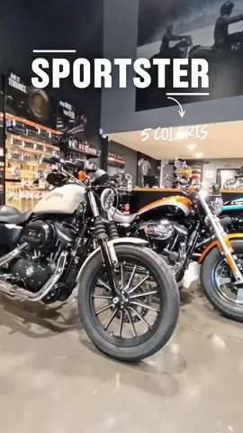 Le légendaire Sportster débarque en 5 coloris pour faire vibrer votre hiver 🏍️✨ Que vous soyez plutôt classique, audacieux, dark, ou full custom ready, il y a forcément une teinte faite pour vous. Venez découvrir ces nouvelles couleurs en concession et trouvez celle qui fera battre votre cœur un peu plus fort. ❤️‍🔥 📍 Harley-Davidson Amiens 📅 Disponibles dès maintenant 👉 Venez les voir, les toucher… et les essayer ! #Harley Davidson #harleydavidsonamiens #letsfuckingride #sportster