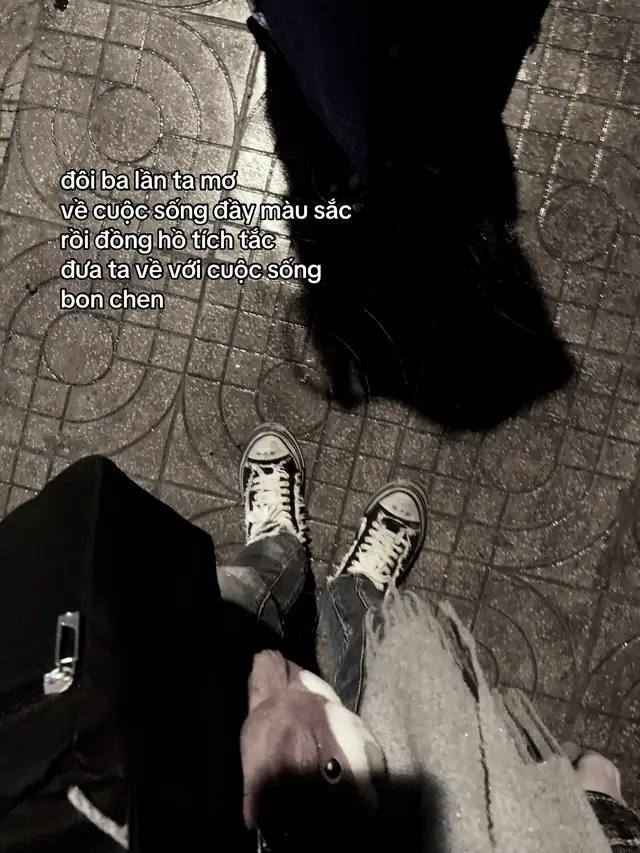 #xuhuong #str #tamtrang 