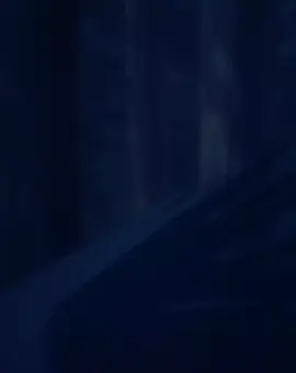 The Black Winged Overlord #ruphasmafahl #awildlastbossappeared #yaseinolastbossarawareta #animeedit #fyp 