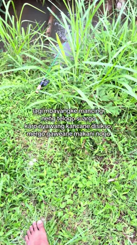 xixixi #microfishing #mancingliar #fyppppppppppppppppppppppp #fyp 