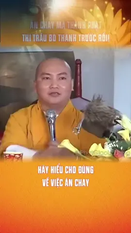 Hiểu đúng về ăn chay Thầy Thích Phước Tiến  #thaythichphuoctien #phatphapungdung  #anchay
