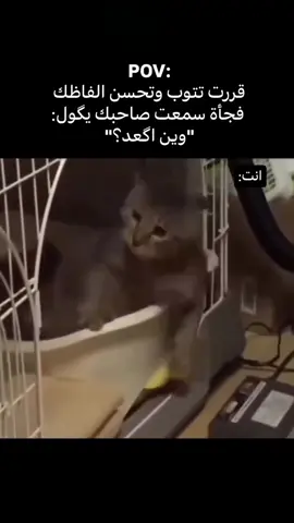 #ترند #اكسبلورexplore #اكسبلور #الشعب_الصيني_ماله_حل😂😂 