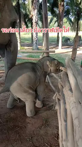 เปิดประตูให้พี่น้ำว้าค่ะ#เทรนด์มาแรงวันนี้❣🇹🇭 #ทริปนี้ที่รอคอย #เปิดการมองเห็น 