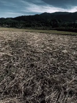 🫀 #xuhuong #manhdongz2011 #chill #buon #chaivapu 