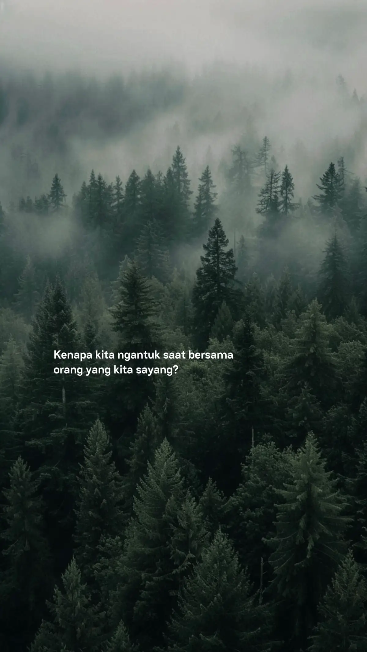 #katakata #yourcrush #beranda #fyp 