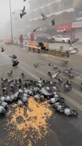 Kalplerin anahtarıdır dua #nirehat2121 #fyシ 