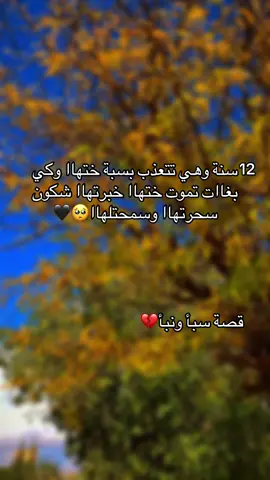 #شمس_ضلامي #سبأ #نبأ #fyp #viral 