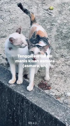 #kebutuhanhati #lyrics #fyp 