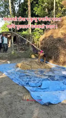 परालको टौवा र कुन्यु बनाउँदा पराल माथि पुरयाउने गजबको उपाय ! #golive#creatorsearchinsights #viralvideo #foryou #foryoupage 