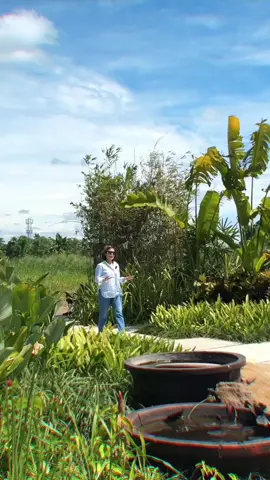 Davao’s DEFINITIVE luxury address awaits. 𝐀𝐲𝐚𝐥𝐚 𝐋𝐚𝐧𝐝 𝐏𝐫𝐞𝐦𝐢𝐞𝐫 introduces its first and finest luxury horizontal estate, offering unrivaled space and exclusivity. Invest in the premier life. VIRENDO •The premier residential address within Ascenda •Part of Ayala Land Premier's 204-hectare master-planned estate designed to elevate residential living in Davao City. •Low-density, master-planned horizontal estate offering only 150 lots (450-1,803 sqm) across 37.4 hectares •Rolling terrain with natural waterways seamlessly integrated throughout the community •Proximity to eco-tourism spots such as Eden Nature Park, as well as schools, hospitals, and AMENITIES: Residents' Lounge •Indoor & Outdoor Lounges •Lounge Pool •Wading Pool •Kiddie Pool •Great Lawn •Outdoor Play Area Sports & Leisure Center •Multipurpose Court •Lap Pool •Great Lawn •Social Hall #AyalaLand #AyalaLandPremier #Ascenda #Virendo #Ayala 