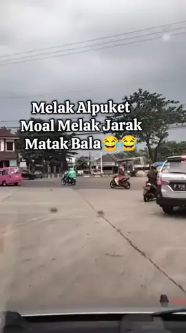 moal melak jarak bakalan bala, khusus alpukat 😁😁 #bodorsunda 