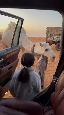 ماشاءلله🤍