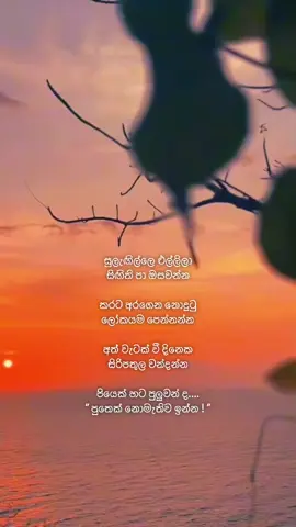 පුතෙක් ඕනෑ නැද්ද පස් වලට පෙරලන්න !!!@Mangala denex  @Harindra Jayalal  #fyyyyyyyyyyyyyyyy #whatsappstatus #viralvideo #1millionaudition #foryoupage 