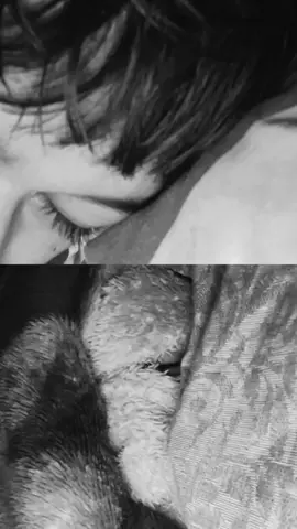 ily@Jaden vanjier #thebandrex #djivers #fyp 