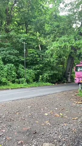 #jr trans#nntpride🏝️🔥 #dravermuda 