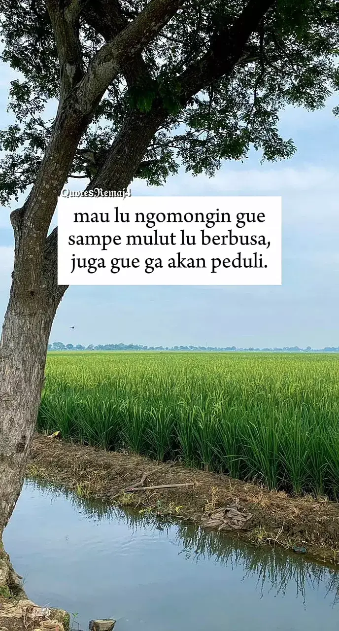 #fyp #quotesremaja #story 