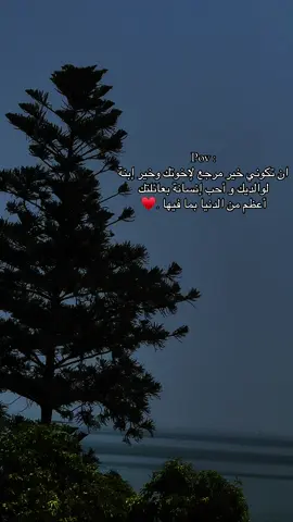 #اكسبلور #fyp #explore #exploremore #حالات_واتس 