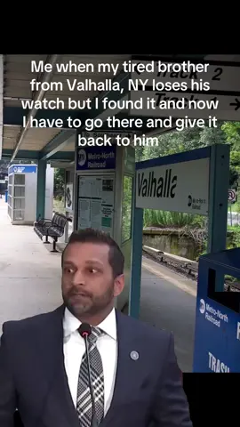 This is the train to: Grand Central. The next stop is: Valhalla. #kashpatel #valhalla #fyp 