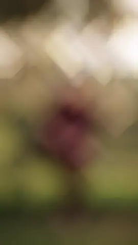 ❤️‍🩹👍🌟#100k #foryou #100k #foryou 