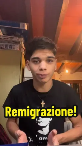 Di delinquenti ne abbiamo già … non ne servono ulteriori ! Remigrazione!