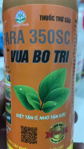 Mọi người vào tham khảo #xuhuongtiktok #tiktok #TikTokAwardsVN #capcut #thinhhanhxuhuong 