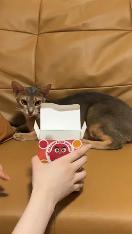 Over 802K peoples' common choices, it sells well on Amazon, and now it's half price on Tiktok, and I also recommended this lovely toy to my bestie Hazel #flappingbirdtoy #catsoftiktok #catsoftiktok #cattoys #cats #cat #potaroma #cattoy #flappingbird #weeklypicks 