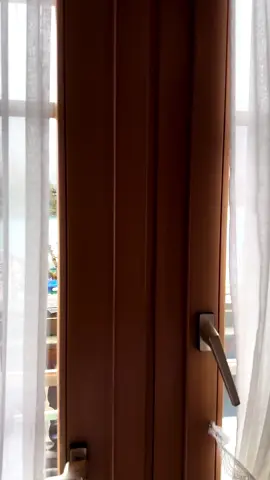 سويسرا انتر لاكن🇨🇭