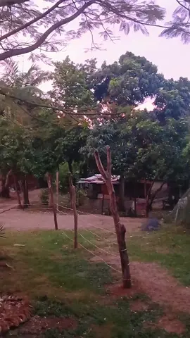 [pas la qualité qui compte, c'est la beauté du coucher de soleil 🌄🫠]  #nioukal 🇳🇨 viiiibes ! #prtoiシ #sunsetlover 