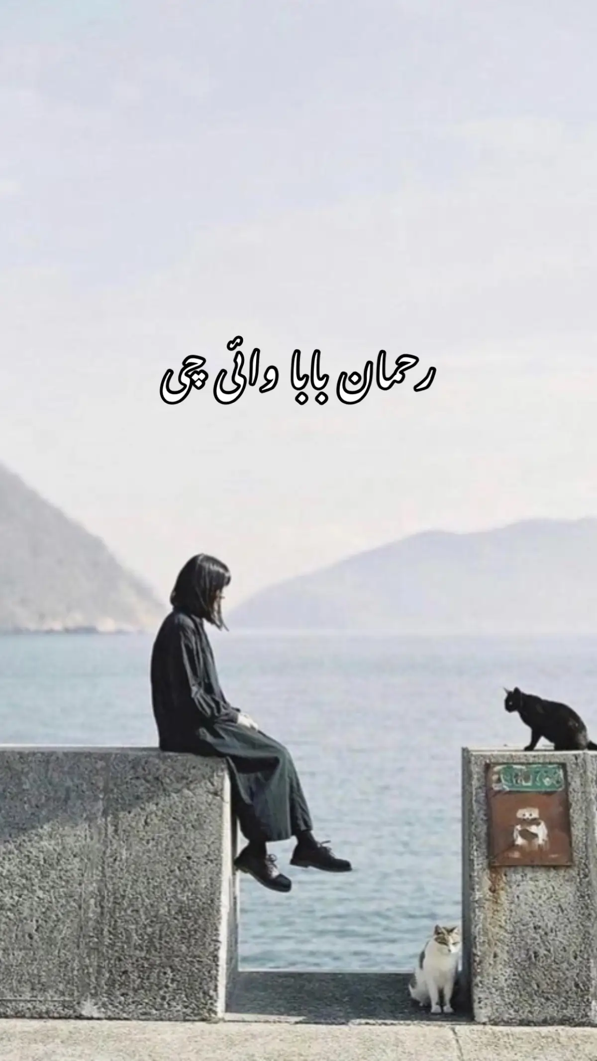 #poetrystatus #pfypシ #viral_video #poerty🥀 #pashtopoetry #rahmanbabapoetry 