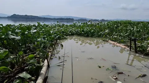 Udun baen baen kie wonge 🤣 #mancing #mancingliar #mancingmania 