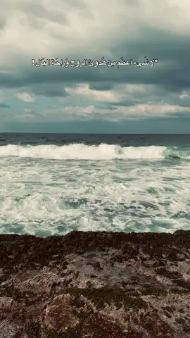 #لايك #الشعب_الصيني_ماله_حل😂😂 