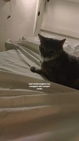 #merindumulagi #musikditiktok #risingontiktok 