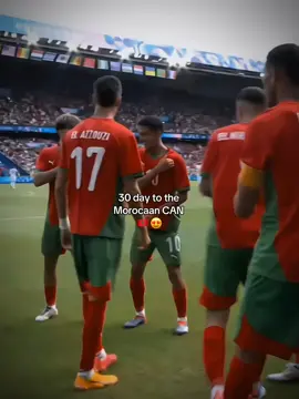 #morocco #marocaine🇲🇦 #footballtiktok #africa 