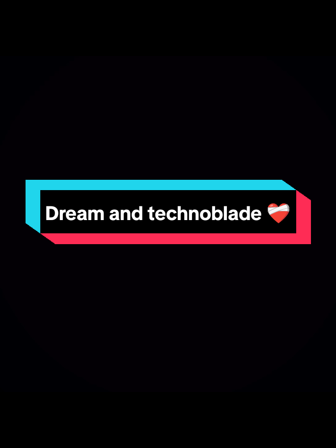 Good rests😔Dream and technoblade ❤️‍🩹🤧 . . #dream #technoblade #craftshine #edit #feelings 