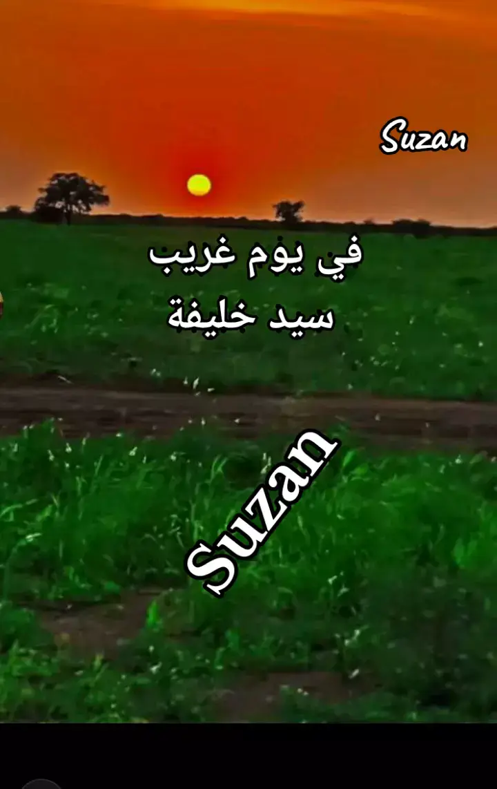 ##الطمبور_صديقنا_وعزنا_وملجأنا🎶🎼