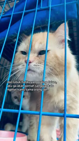 #fyp #fyppppppppppppppppppppppp #masukberanda #foryou #moots 