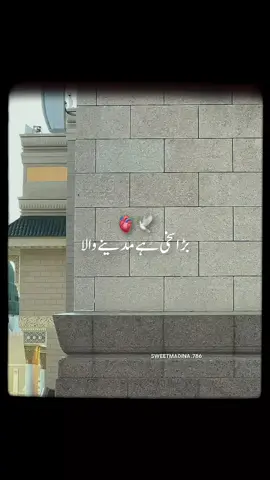 دُرُودِ پاک پڑھ لیں  صلی اللّٰہ علیہ وآلہ وسلم  #unfreezemyaccount #madina #viralvideos #foryouu #foryoupage❤️❤️ 